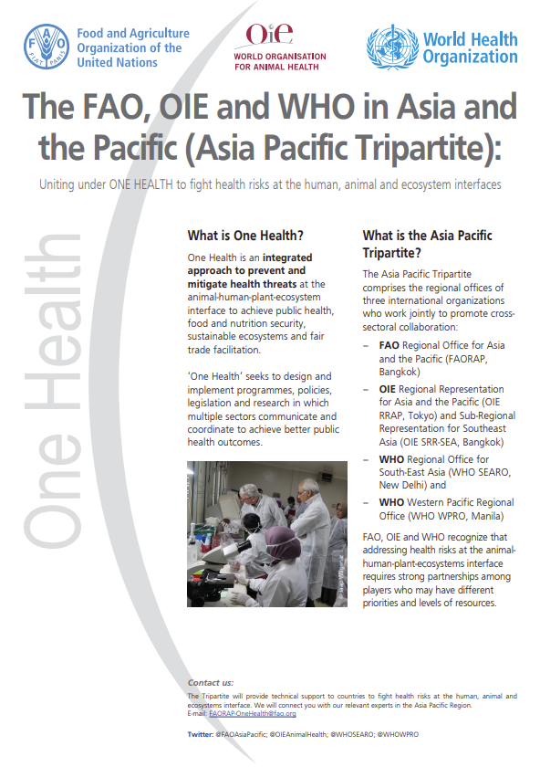 https://rr-asia.woah.org/app/uploads/2020/03/one-health-leaflet.pdf