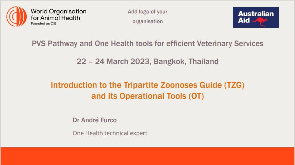 Day 2 S4 Andre Furco TZG