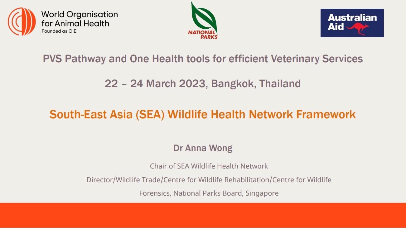 Day 2 S5 Singapore WHF