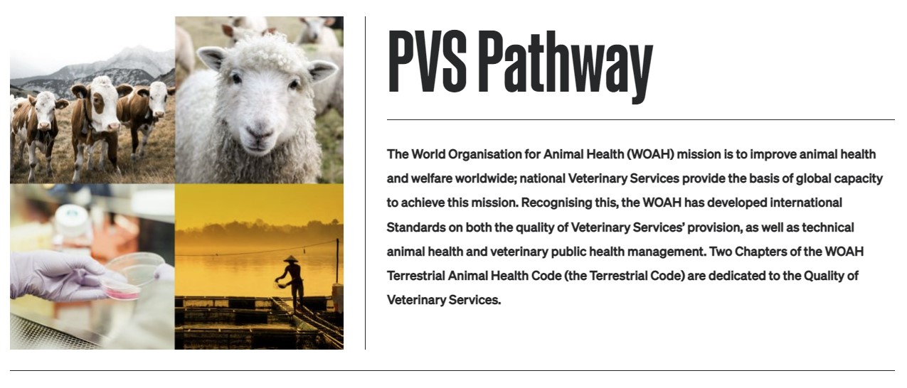 Performance of Veterinary Services (PVS) - WOAH - Asia