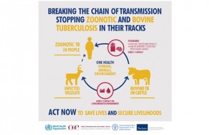 Bovine Tuberculosis - WOAH - Asia