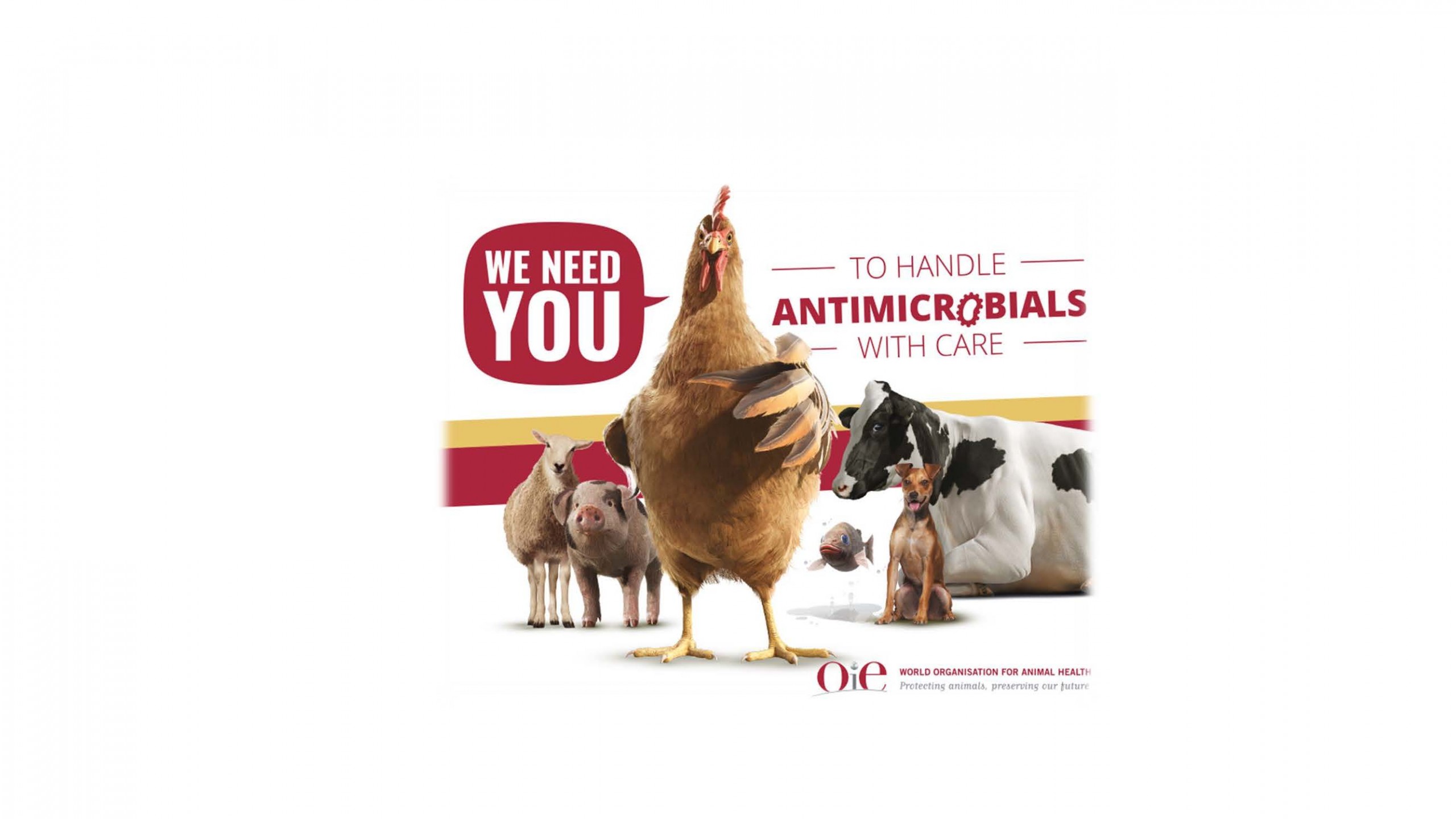 Antimicrobials: Handle with Care - World Antimicrobial Awareness Week -  WOAH - Asia