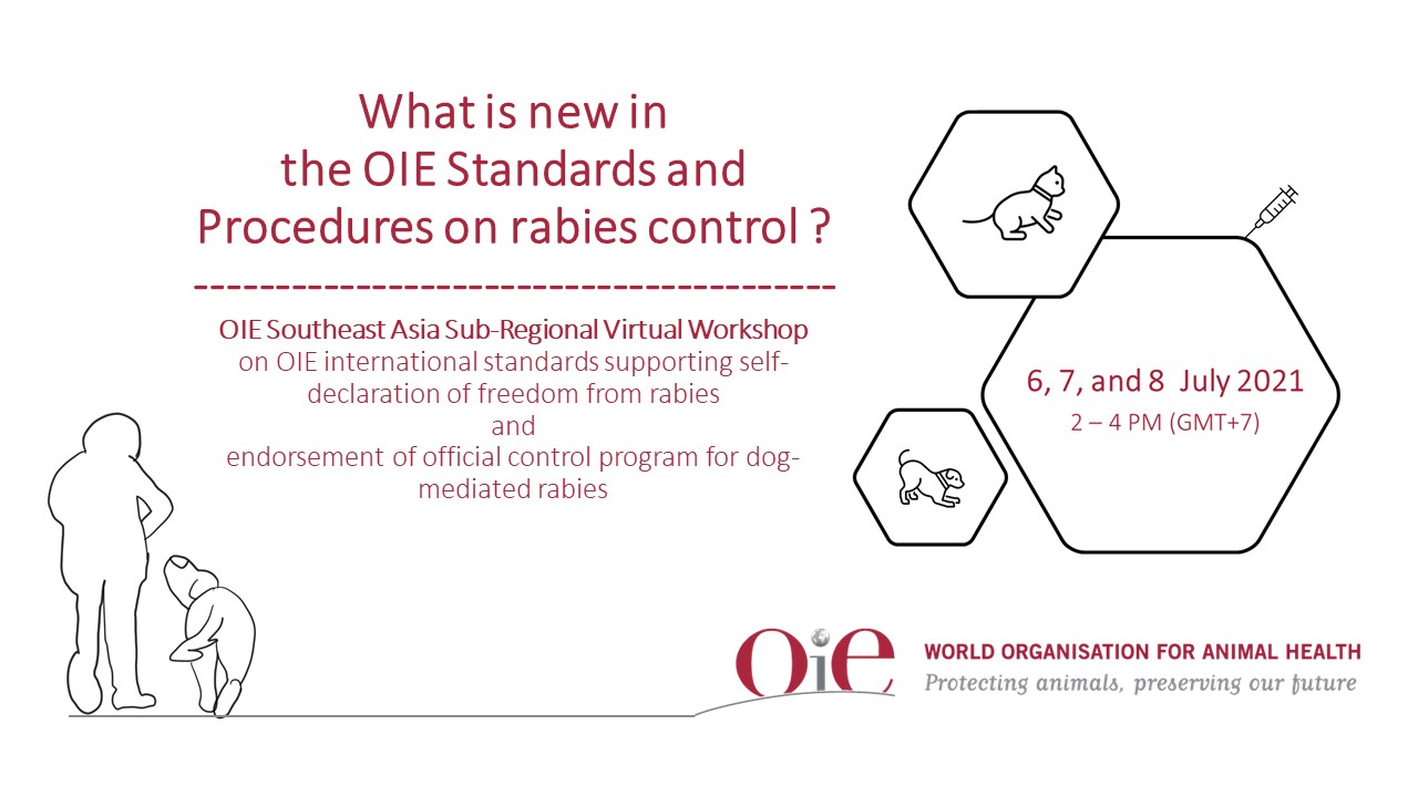 OIE Rabies Virtual Workshop In South-East Asia - WOAH - Asia