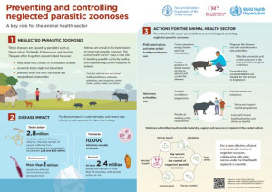 Fao, Who, Woah Collaboration Strengthens Capacity On Neglected 