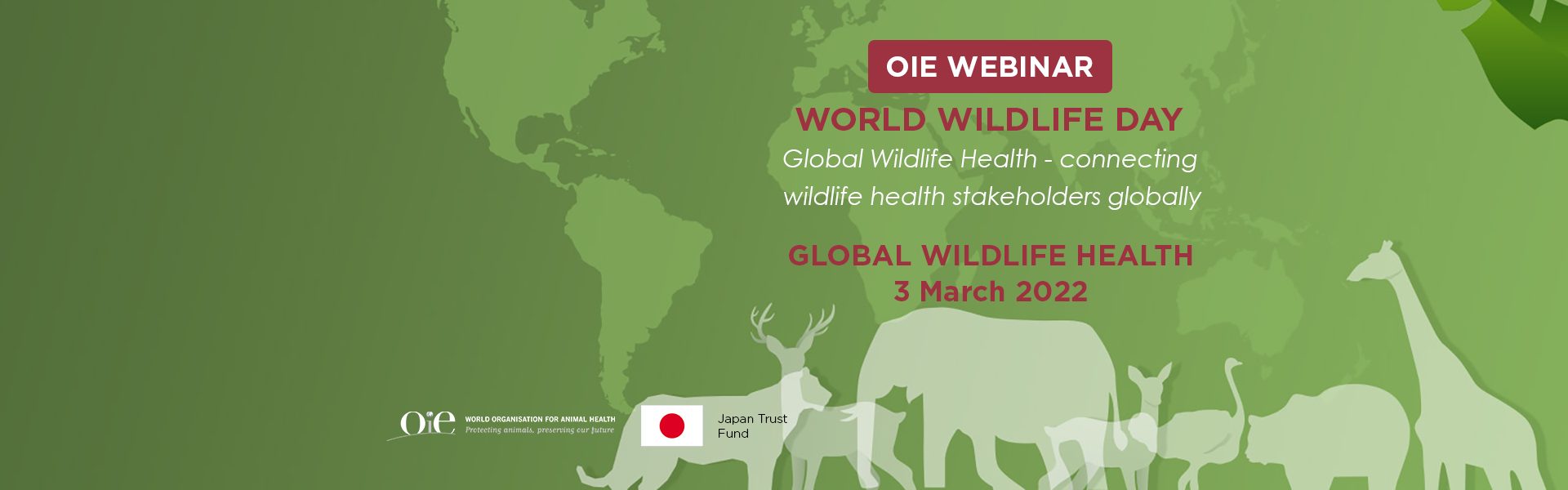 World Organisation for Wildlife Health World Wildlife Day 2022 World Organisation for Wildlife Health World Wildlife Day 2022