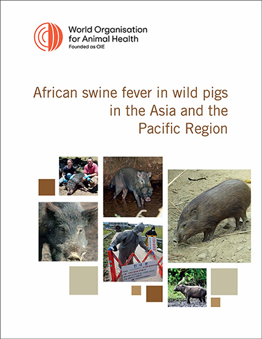 Reporting on African swine fever and wild pigs in Asia and the Pacific -  WOAH - Asia