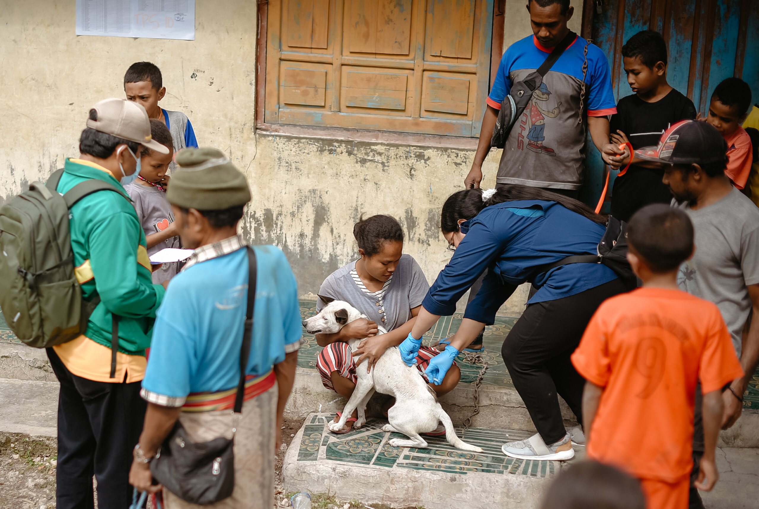 Webinar: Rabies Control in the ASEAN - WOAH - Asia