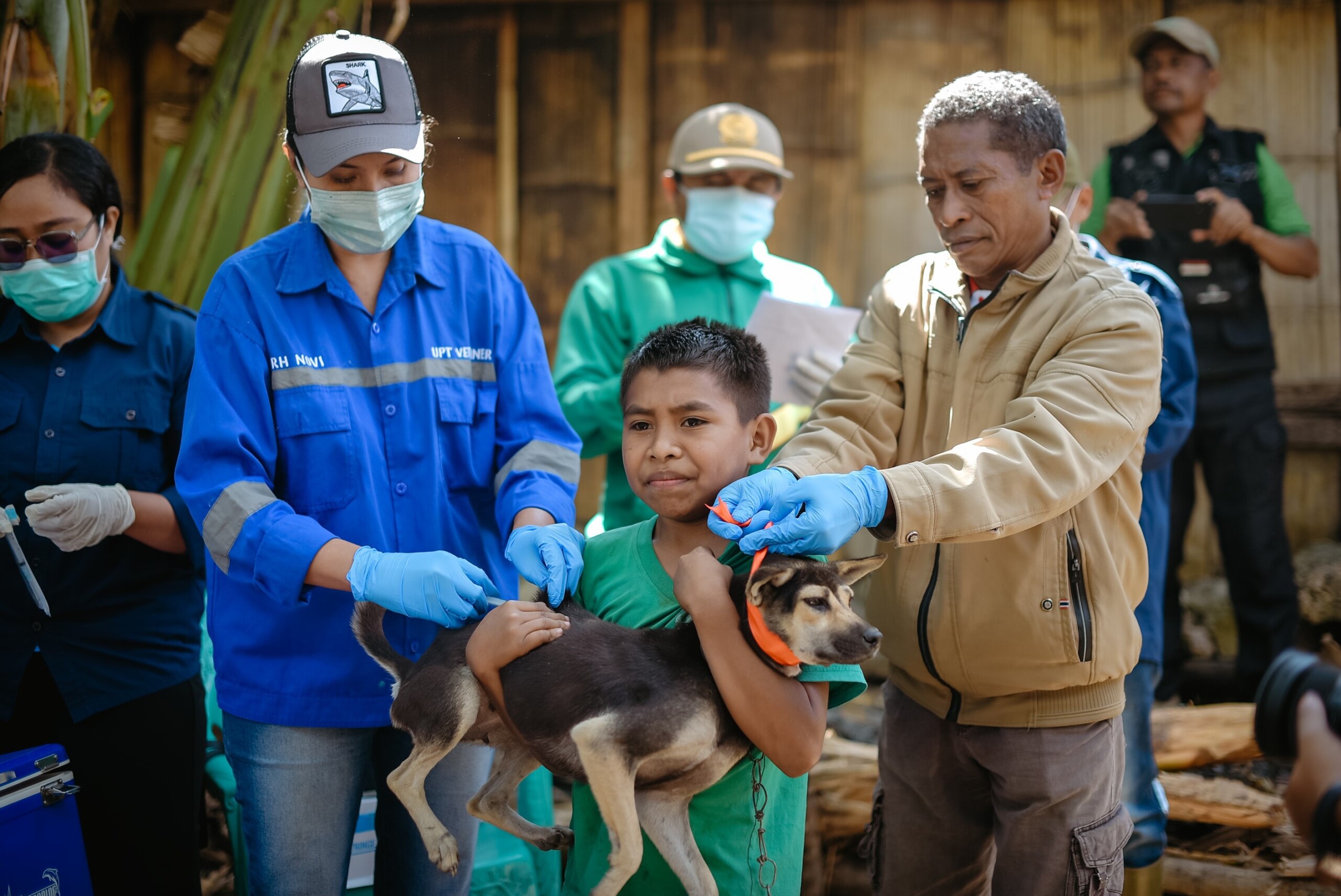 On the Frontline to Maintain Rabies-Free Status in Timor-Leste - WOAH ...