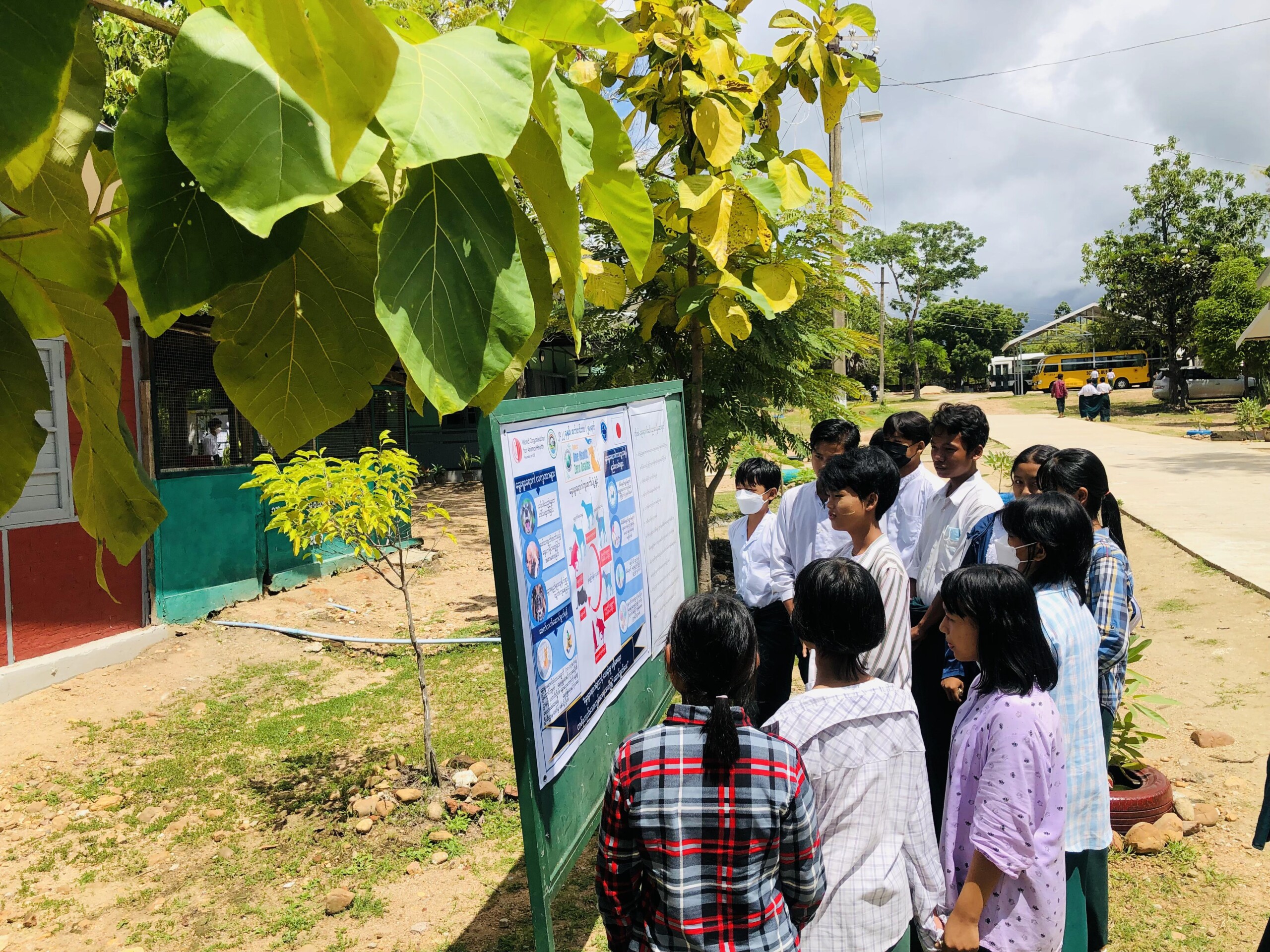 In Myanmar, Teachers are on the Frontline to Prevent Rabies - WOAH - Asia